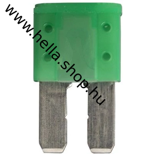 Micro 2 30A 