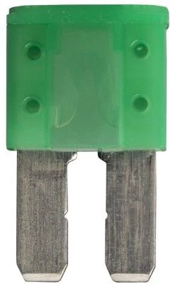 Micro 2 30A 